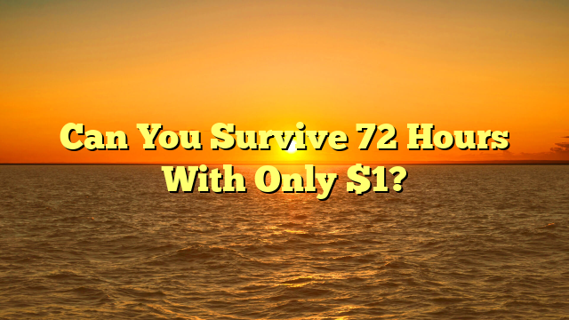 Can You Survive 72 Hours With Only $1?