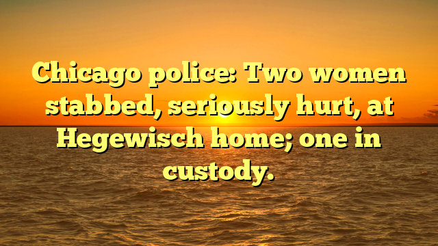 Chicago police: Two women stabbed, seriously hurt, at Hegewisch home; one in custody.