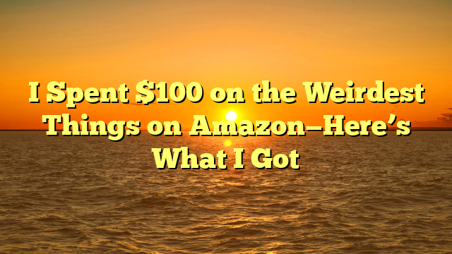 I Spent $100 on the Weirdest Things on Amazon—Here’s What I Got