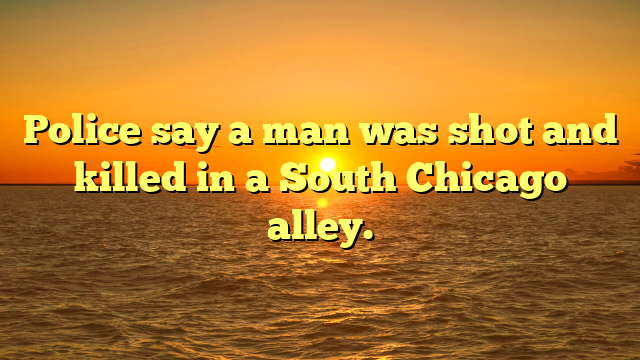 Police say a man was shot and killed in a South Chicago alley.