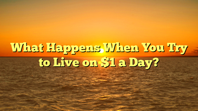 What Happens When You Try to Live on $1 a Day?